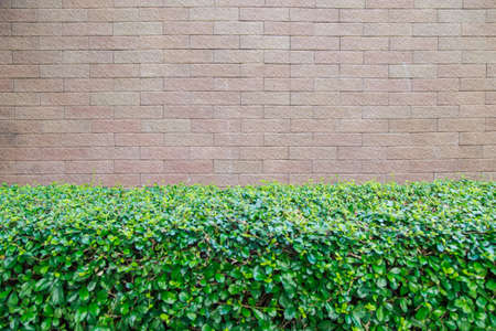 Stone floor background patternの写真素材