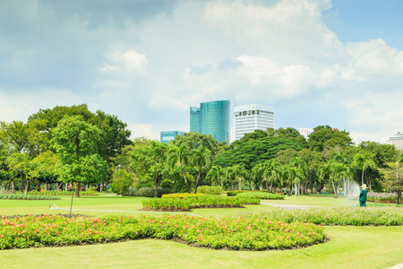 Attractive woman watering the plants in the garden.のeditorial素材