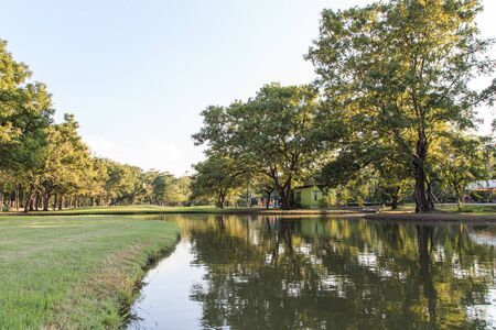Garden landscaping Vachirabenjatas Park Rot Fai Park.の写真素材