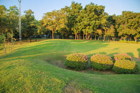 Beautiful, Spring landscape in vachirabenjatas park rot fai park thailand