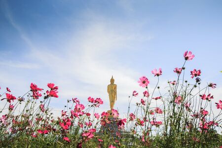 buddha image with beauty sky at chanthaburi.  thailandの写真素材