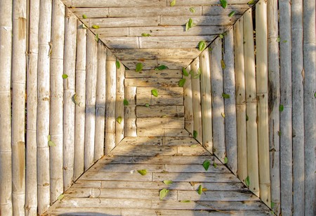 bamboo closeup - nice background patternの写真素材