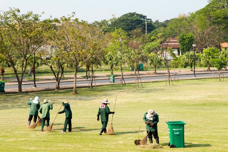 people clean fallen down leavesat public park