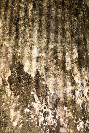 Texture old brick wall,stone background, detailed patternの写真素材