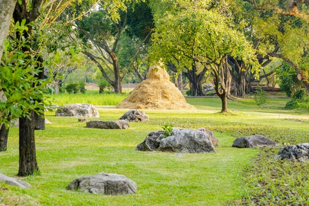 dried Straw style,dried straw as an agriculture farm and farming of harvest time with dried straw