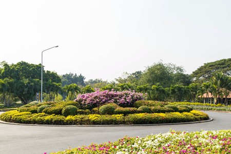 walkway in parkの写真素材