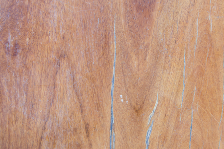 Pattern tree texture wood backgroundsの写真素材