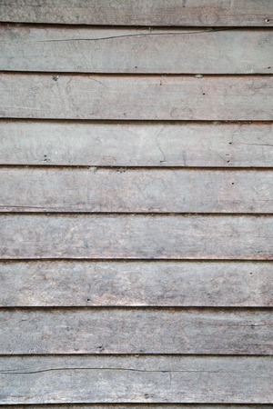 Pattern tree texture wood backgroundsの写真素材