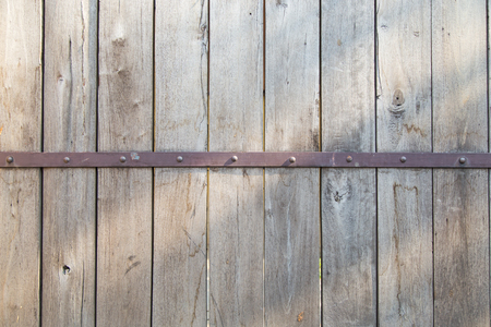Pattern tree texture wood backgroundsの写真素材