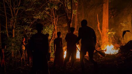 Forest fires are spreading in the wild.の写真素材