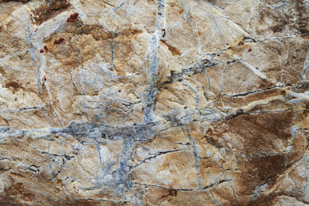 The beautiful stone texture in the park ideal for background and wallpaper purposes