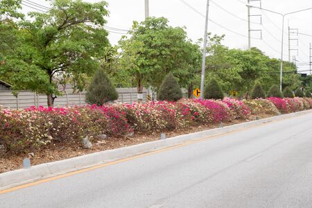 A view of a park in Chiang Mai, Thailand.の写真素材