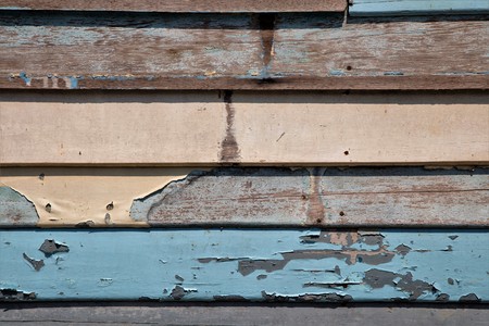 wood texture. Natural wood backgroundの写真素材