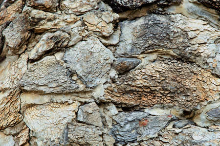 Natural marble texture, rock wallpaper, background wall