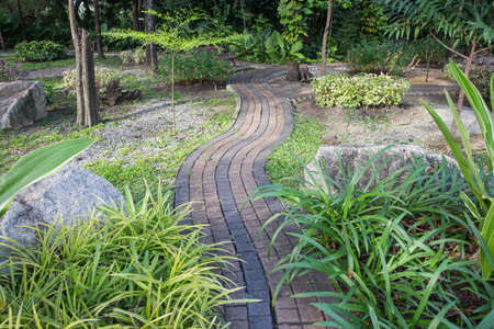 stone walkway in the outdoor green garden
