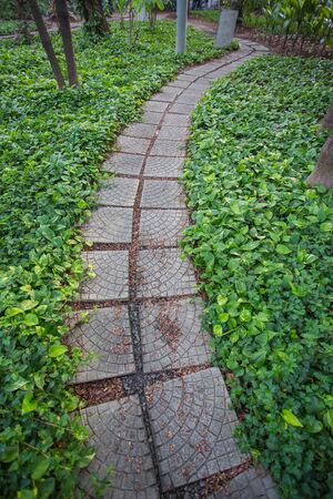stone walkway in the outdoor green gardenの写真素材