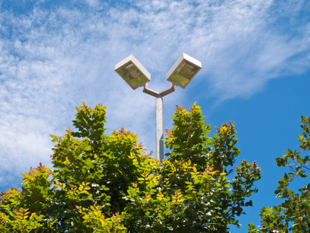 Street light on green plants.の写真素材
