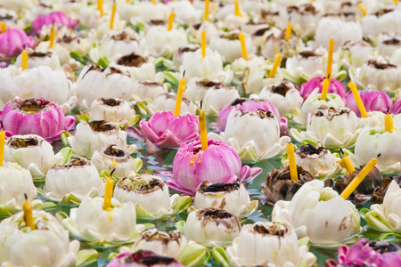 lotus Worship の写真素材