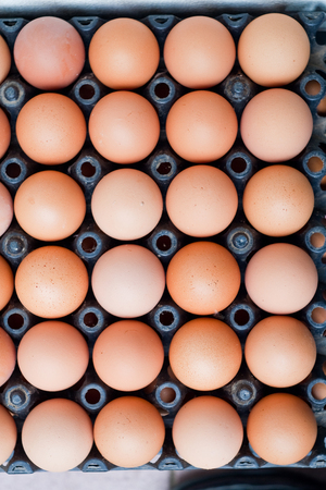 Eggs panel in Thailand の写真素材