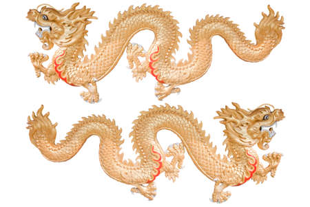 Twin Dragons on isolated background の写真素材