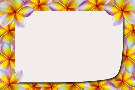 Paper On flowers background の写真素材