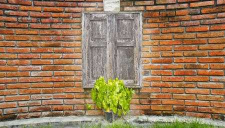 The Old wood window on curved brick wall の写真素材