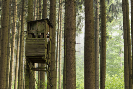 Hunting or birdwatching tower in the forrestの写真素材