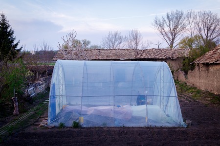 garden greenhouse with metal frameの写真素材