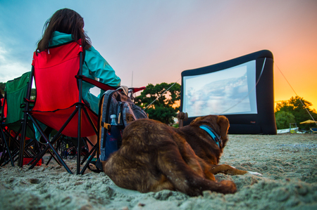 GIRL WITH DOG AT CINEMA ON THE BEACH AT NIGHTの写真素材