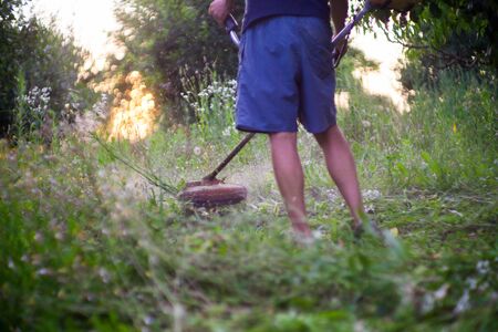 Worker mowing green grass with a trimming machineの写真素材