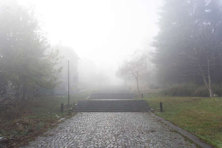 Paving stone road with fog ahead. Horizontal shotの写真素材