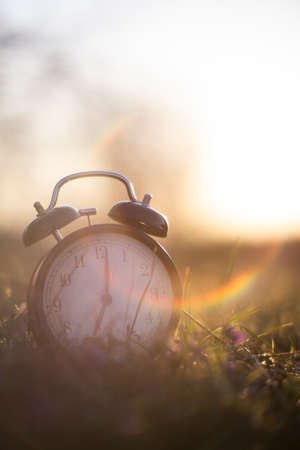 Authentic photo of an alarm clock in the grass with sunriseの写真素材