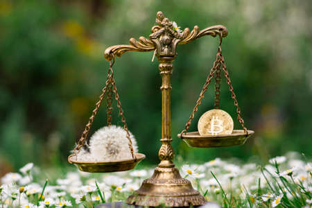 BITCOIN AND A DANDELION ON SCALES. CONCEPT: BITCOIN MINING ENERGY CONSUMPTIONの写真素材