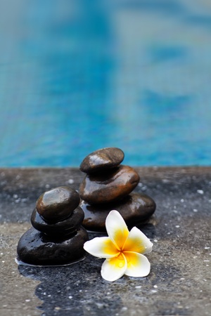 Frangipani flower and Zen style stone by the poolの写真素材