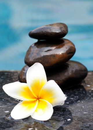 Frangipani flower and Zen style stone by the poolの写真素材
