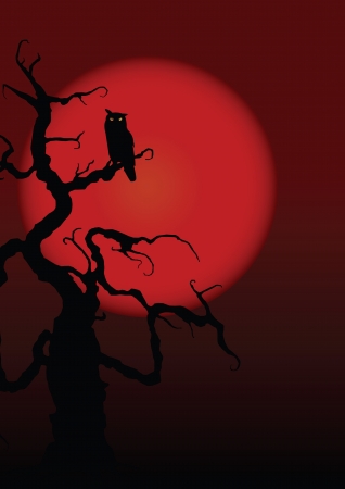Halloween illustration owl on moon background.のイラスト素材