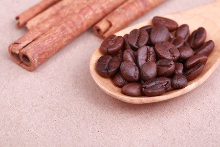 Cinnamon coffee seeds on wooden spoonの写真素材