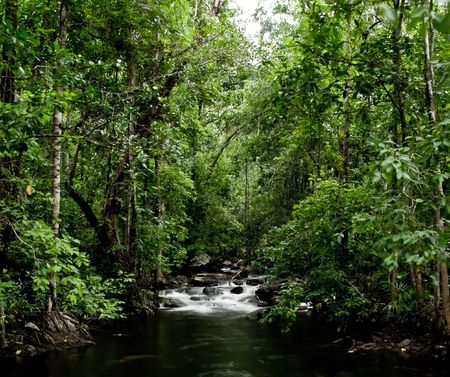 Water flowing rapidly over rocks in the forrestの写真素材