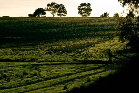An empty Paddock divided by a fence and gate at sunrise.の写真素材