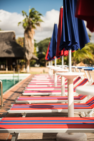 Row of Italian sun beds next to the resort poolの写真素材