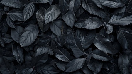Black abstract leaf textures tropical leaves background. generative aiの素材