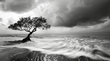 nature in black and white generative aiの素材