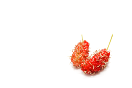 Thai bulberry on white background isolated with copy space.の写真素材