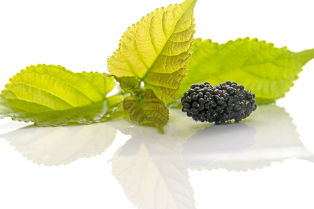 Thai bulberry with leaf on white background isolated.の写真素材