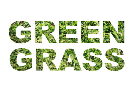 Green grass word, clipping mask style, on white background.の写真素材