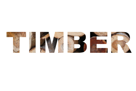 Timber word, clipping mask style, on white background.の写真素材
