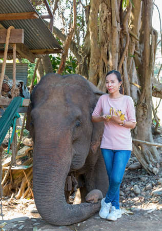 Mae Hong Son, Thailand - february 9, 2019: Thai woman with elephant at Long Neck village Baan Huay...