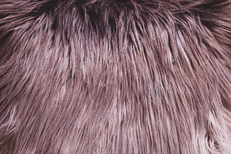Close-up of fur texture grey brown animal cushion coat. Artificial or natural fur with different shade of grey and brown background.の写真素材