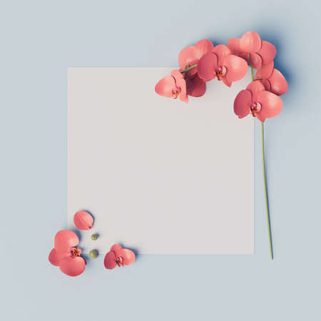 Creative layout made of red orhidea and white square paper on pastel blue background. Minimal summer concept with copy space. Border arrangement. 3D Rendering.の写真素材