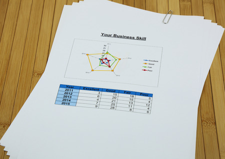 score on radar chart about business skill